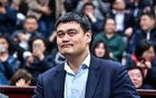 官宣退，葉莉發(fā)聲，選擇已定，八年堅持，去向揭曉，姚力挺。