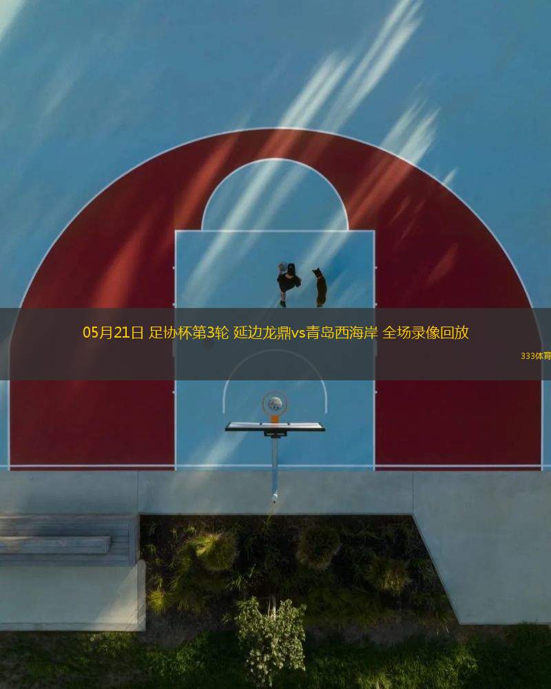05月21日 足協杯第3輪 延邊龍鼎vs青島西海岸 全場錄像回放