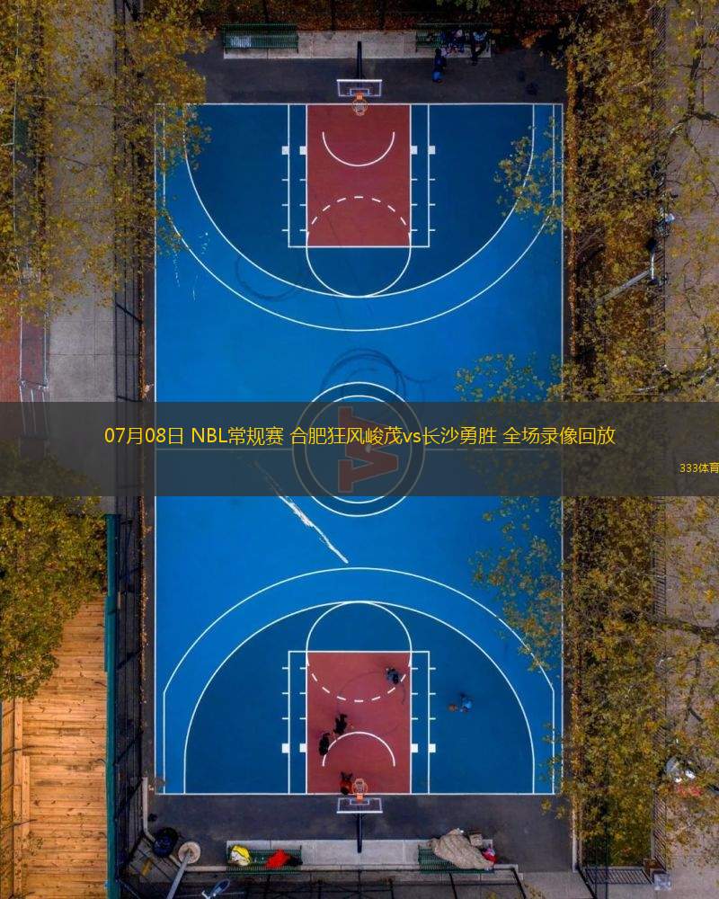 07月08日 NBL常規(guī)賽 合肥狂風(fēng)峻茂vs長沙勇勝 全場錄像回放