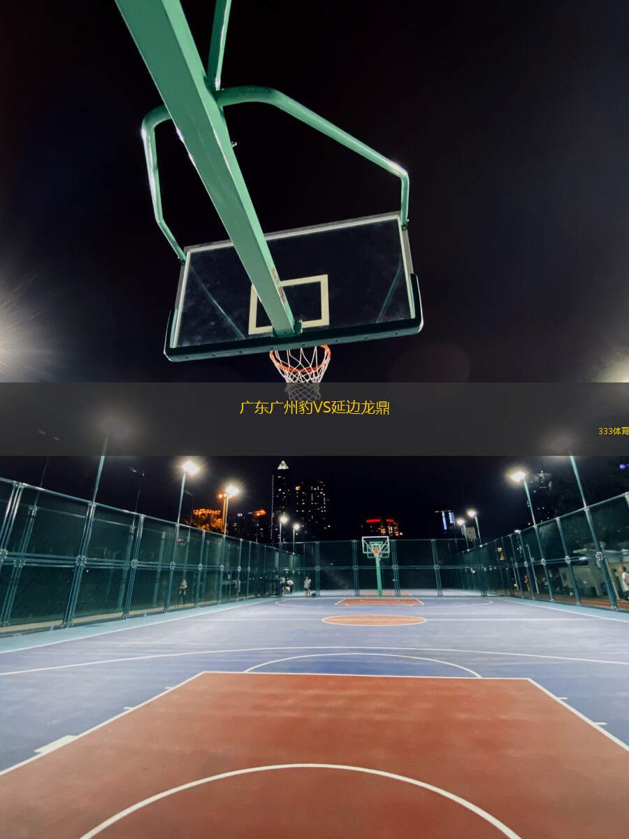 廣東廣州豹VS延邊龍鼎