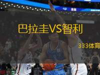 巴拉圭VS智利