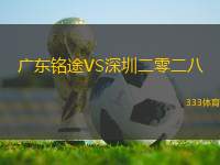 廣東銘途VS深圳二零二八