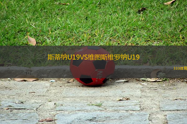 斯蒂納U19VS維圖斯維羅納U19