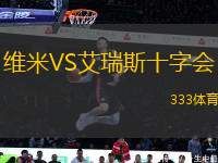 維米VS艾瑞斯十字會