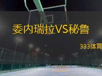 委內(nèi)瑞拉VS秘魯