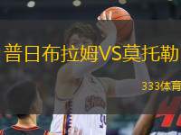 普日布拉姆VS莫托勒