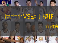 尼雪平VS胡丁格IF
