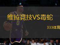 維拉競技VS毒蛇
