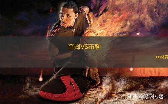查姆VS布勒