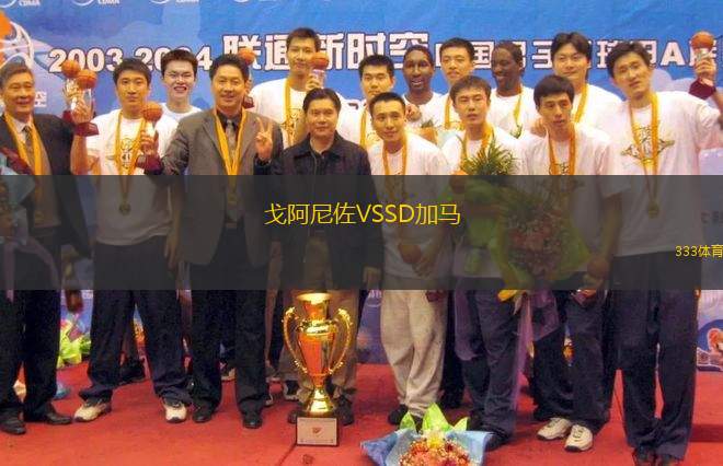 戈阿尼佐VSSD加馬