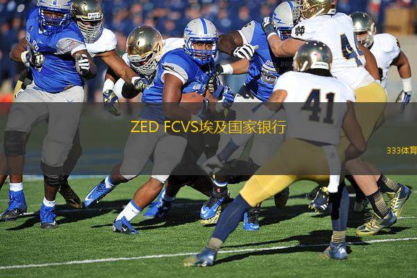 ZED FCVS埃及國家銀行