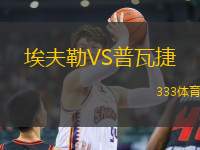 埃夫勒VS普瓦捷