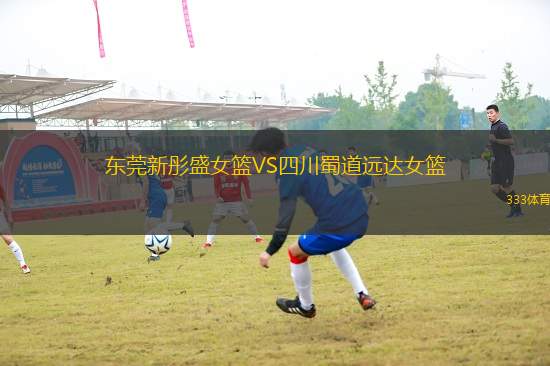 東莞新彤盛女籃VS四川蜀道遠達女籃