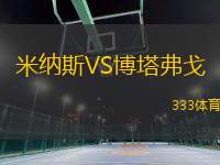 米納斯VS博塔弗戈