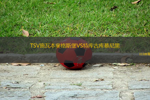 TSV施瓦本奧格斯堡VS特庫古庫慕尼黑