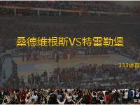 桑德維根斯VS特雷勒堡