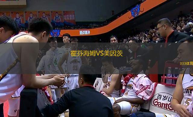 霍芬海姆VS美因茨