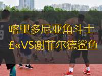 喀里多尼亞角斗士VS謝菲爾德鯊魚