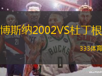 博斯納2002VS杜丁根