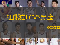 紅熊貓F(tuán)CVS黑鷹