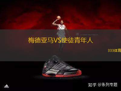 梅德亞馬VS使徒青年人