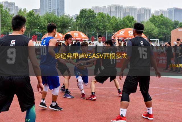 多瑙弗里德VSASV西根多夫