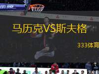 馬歷克VS斯夫格
