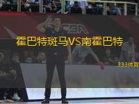 霍巴特斑馬VS南霍巴特