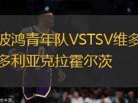 波鴻青年隊(duì)VSTSV維多利亞克拉霍爾茨