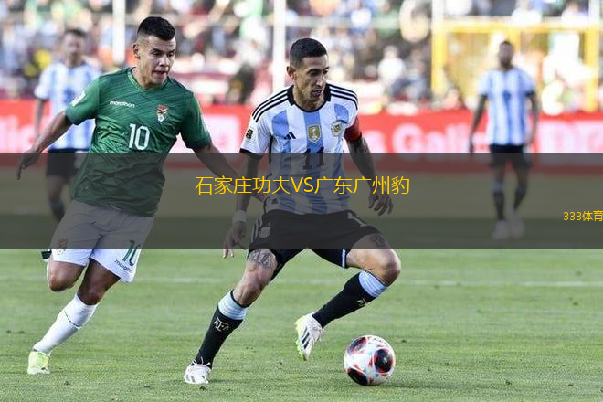 石家莊功夫VS廣東廣州豹