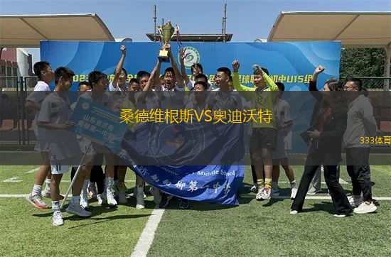 桑德維根斯VS奧迪沃特
