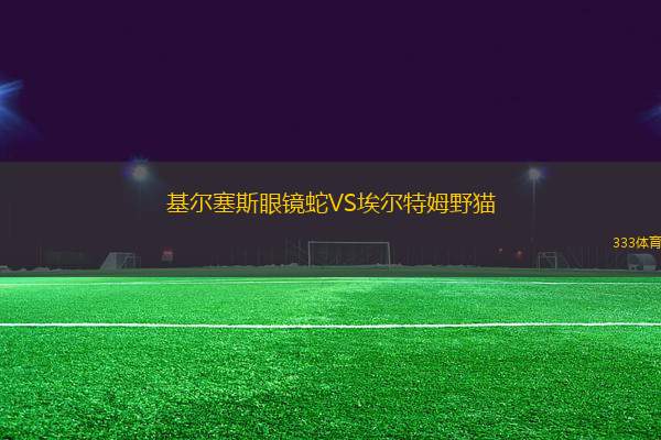 基爾塞斯眼鏡蛇VS埃爾特姆野貓