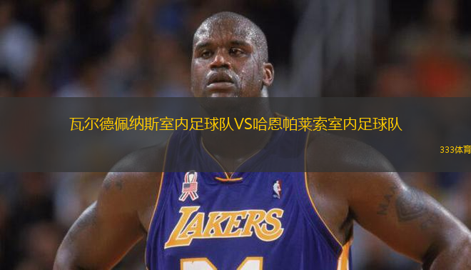 瓦爾德佩納斯室內(nèi)足球隊VS哈恩帕萊索室內(nèi)足球隊