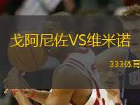 戈阿尼佐VS維米諾