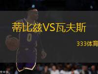 蒂比茲VS瓦夫斯
