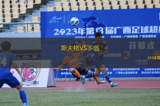 斯夫格VS多瑙