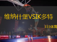 維納什堡VSIK多特