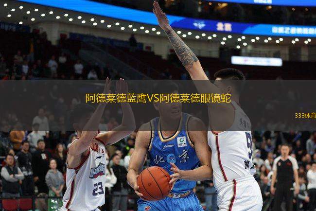 阿德萊德藍(lán)鷹VS阿德萊德眼鏡蛇