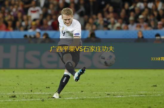 廣西平果VS石家莊功夫