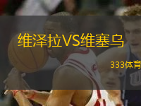 維澤拉VS維塞烏