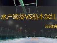 水戶蜀葵VS熊本深紅