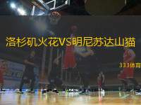 洛杉磯火花VS明尼蘇達(dá)山貓