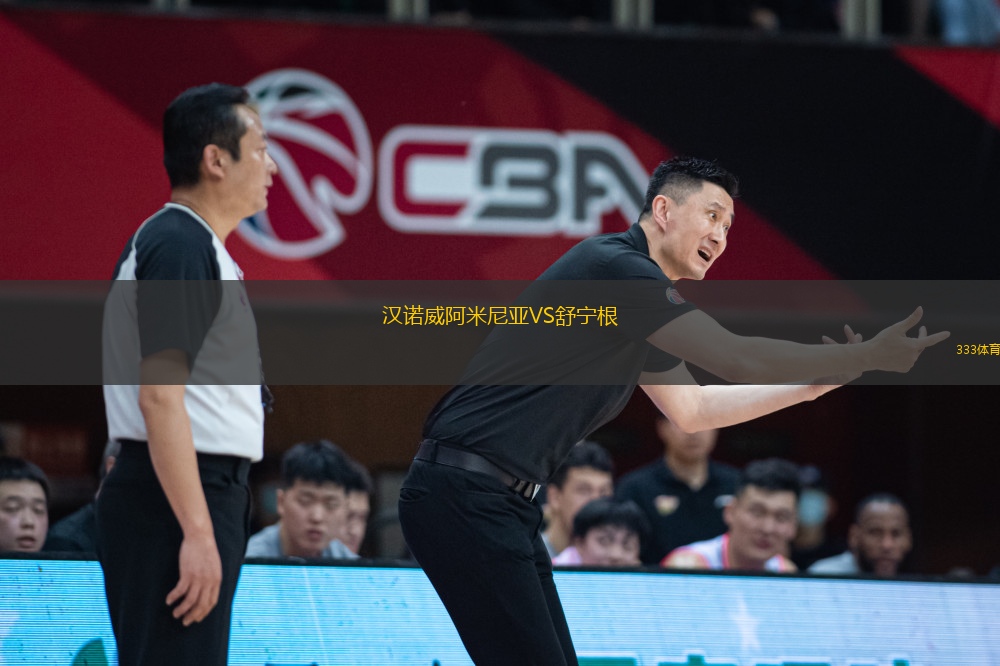 漢諾威阿米尼亞VS舒寧根