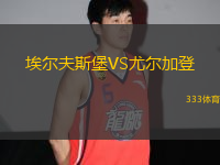 埃爾夫斯堡VS尤爾加登