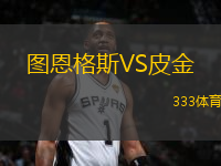 圖恩格斯VS皮金