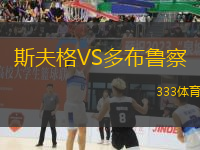 斯夫格VS多布魯察