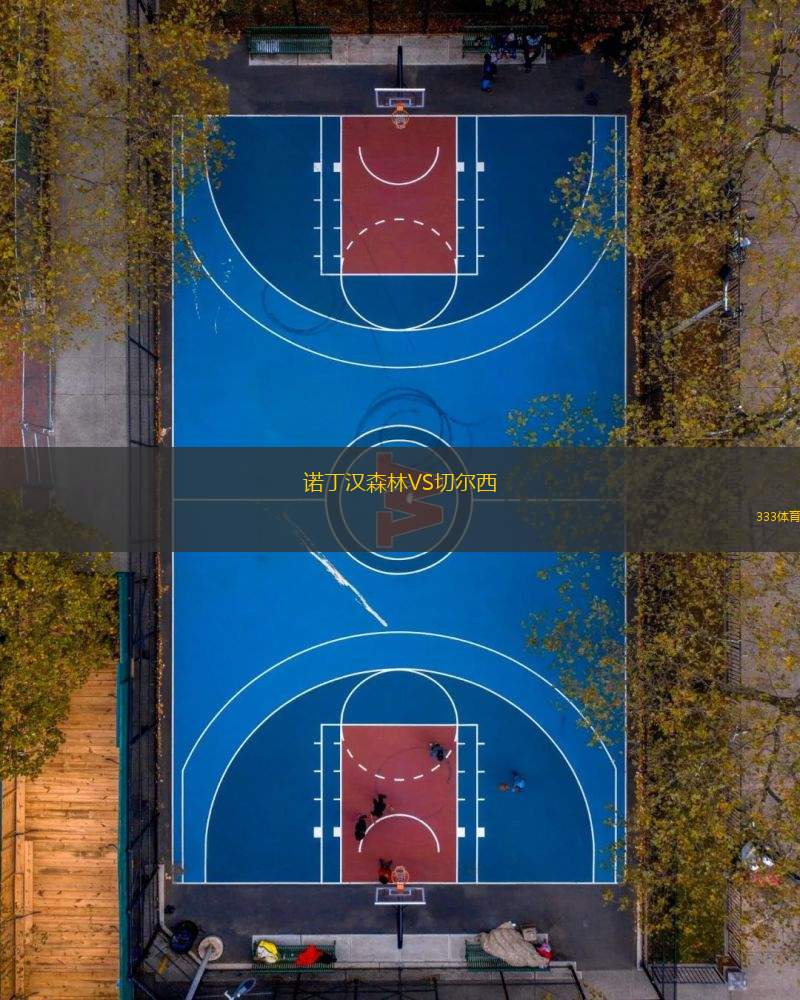 諾丁漢森林VS切爾西