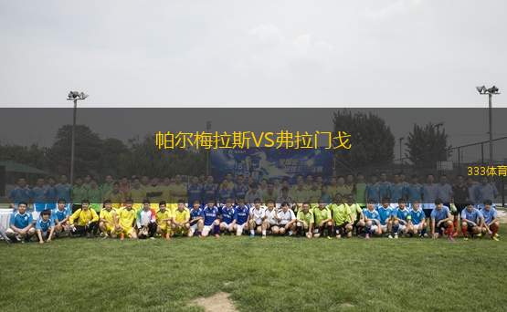 帕爾梅拉斯VS弗拉門戈