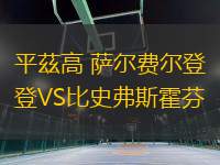 平茲高 薩爾費(fèi)爾登VS比史弗斯霍芬