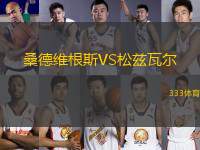 桑德維根斯VS松茲瓦爾